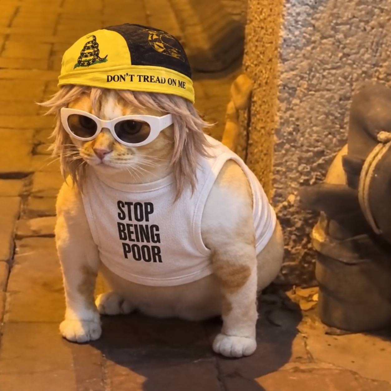 Stop being poor. GigaCat said what he said.